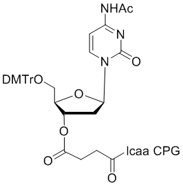 deoxy Cytidine (n-acetyl) 3'-lcaa CPG 2000Å