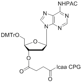 deoxy Adenosine (n-PAC) 3'-lcaa CPG 2000Å