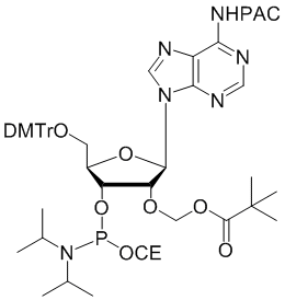 2'-O-PivOM-5'-O-DMT-Adenosine (N-PAC) 3'-CEP