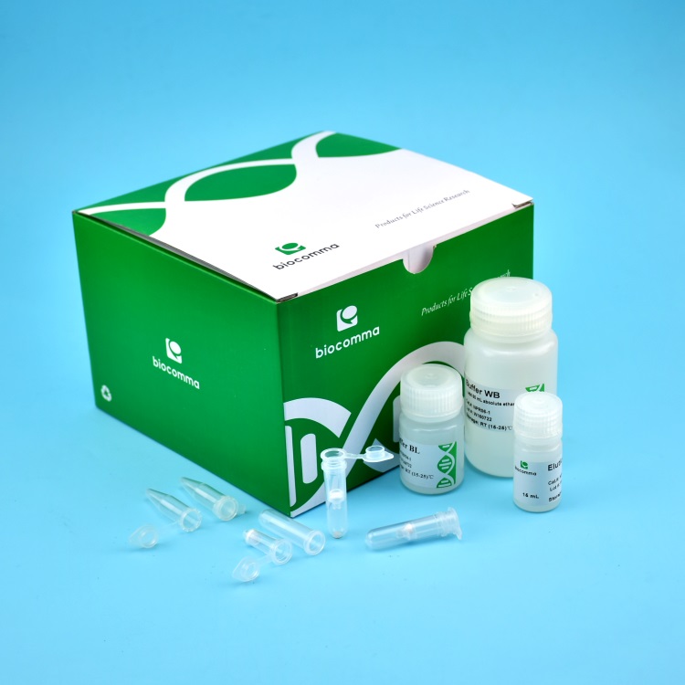 CommaXP® 琼脂糖凝胶DNA回收试剂盒