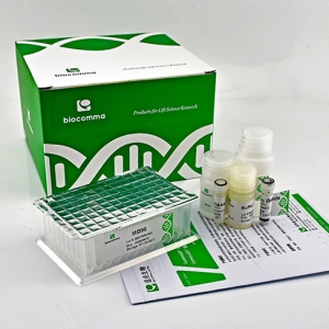 CommaXP®非洲猪瘟病毒核酸提取试剂盒（MB96-磁珠法）